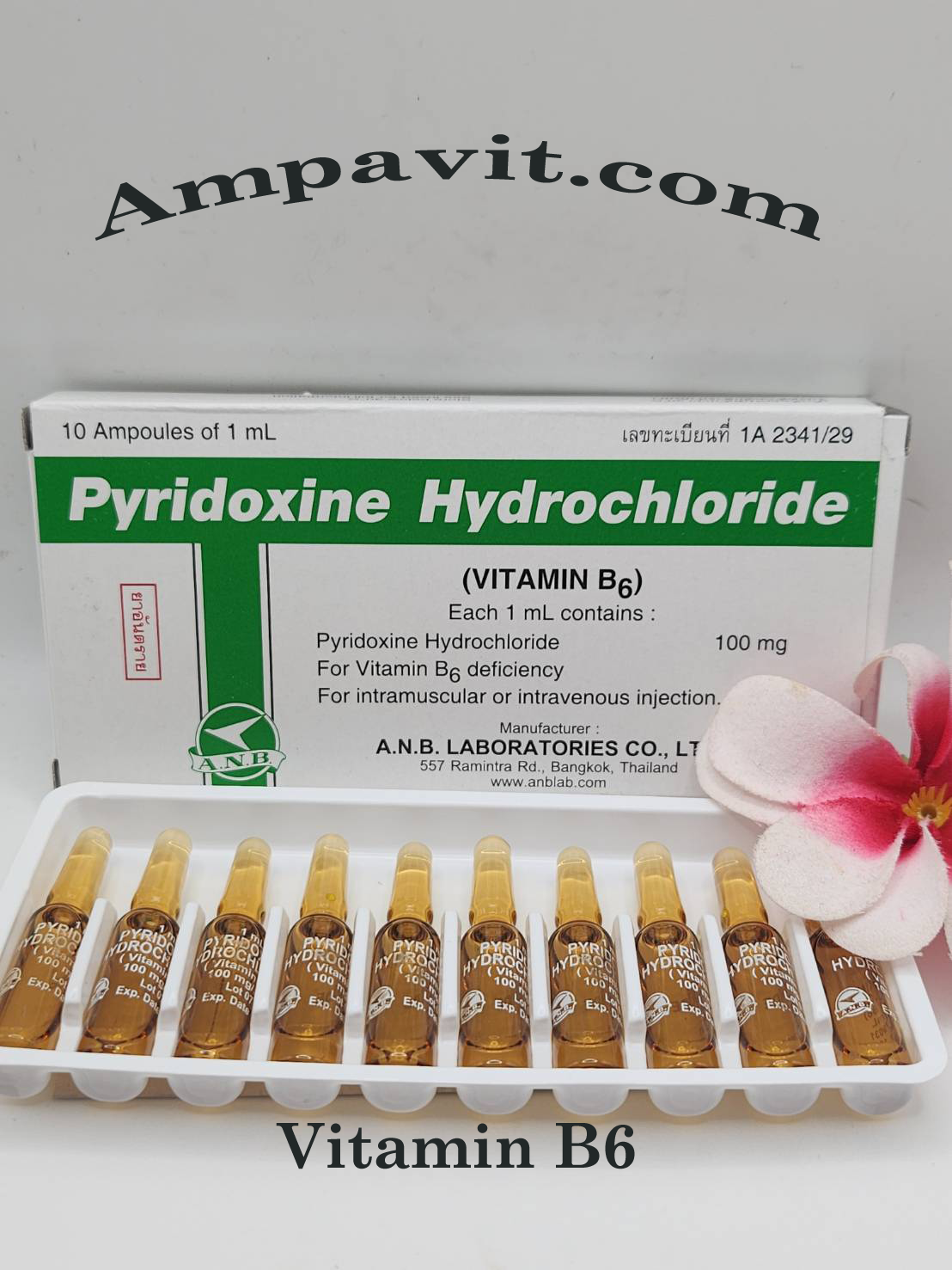 vitamin B6 injection