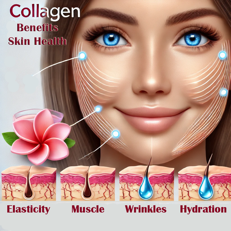 Collagen